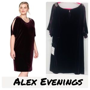 Alex Evenings Plus Velvet Cocktail Dress Cutout